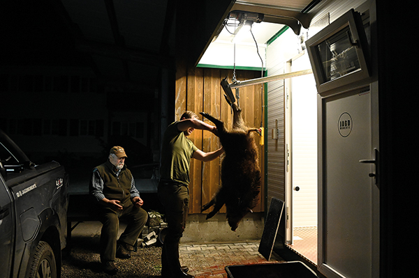 Wild im Kühlraum